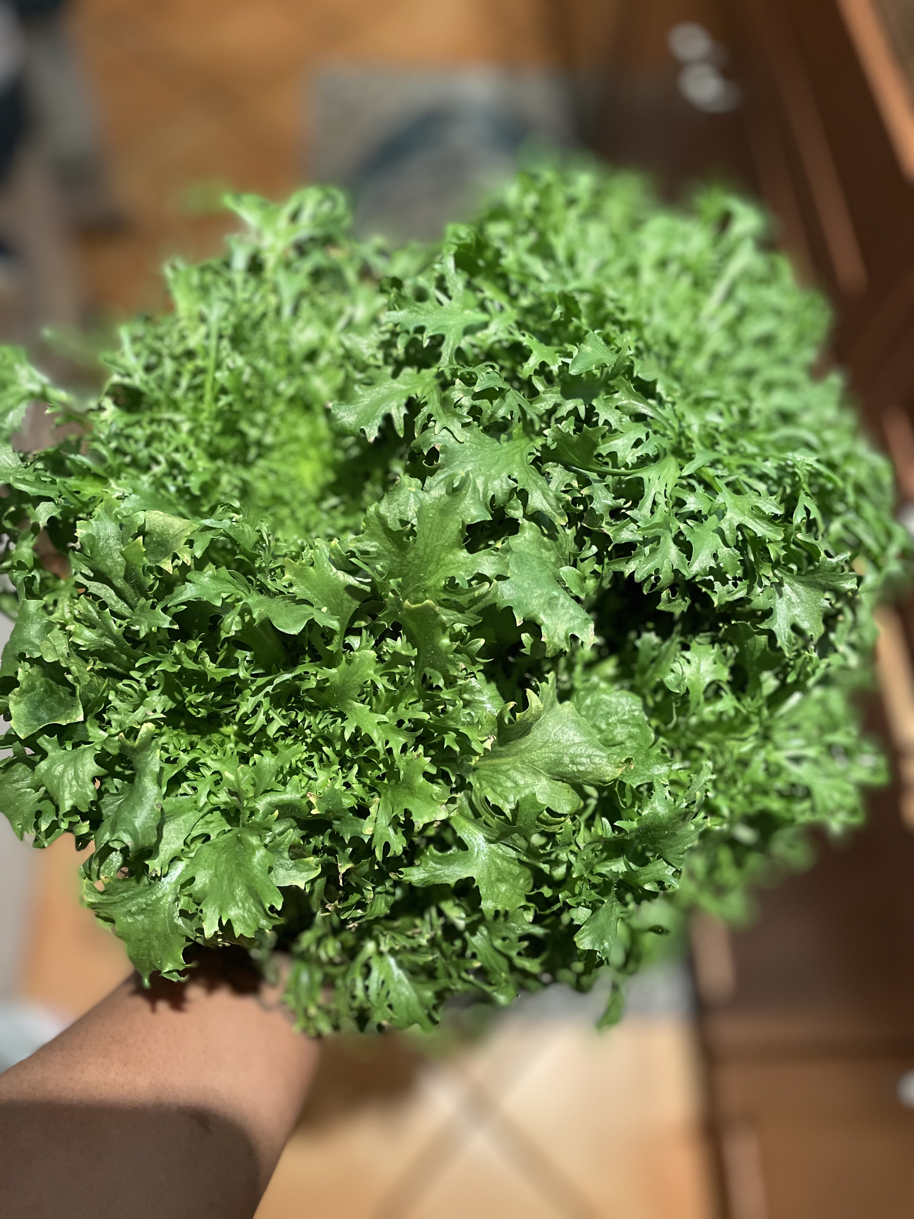 …take all the clothes off the line myself