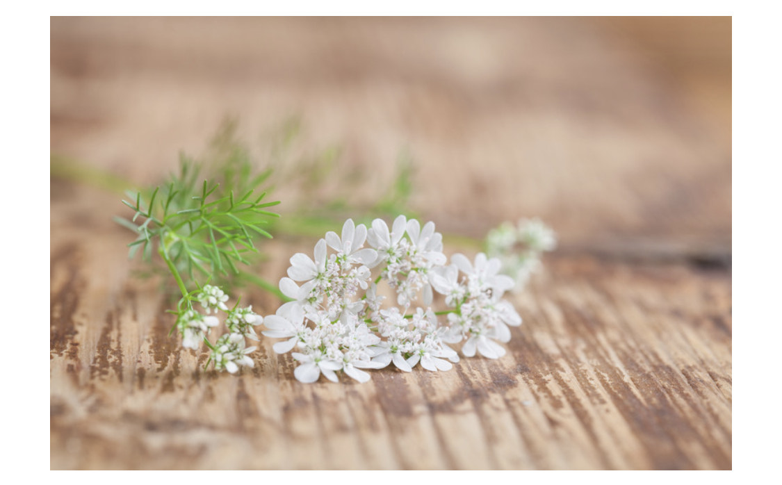 Knowing “your” season….