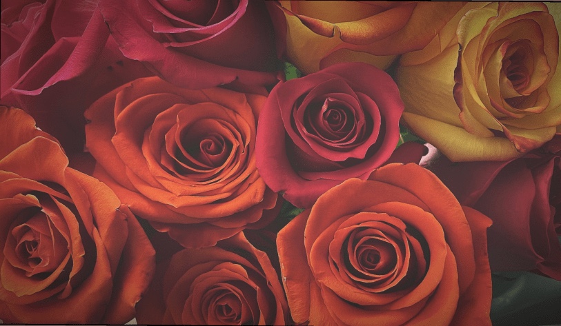 ….My Favorite things