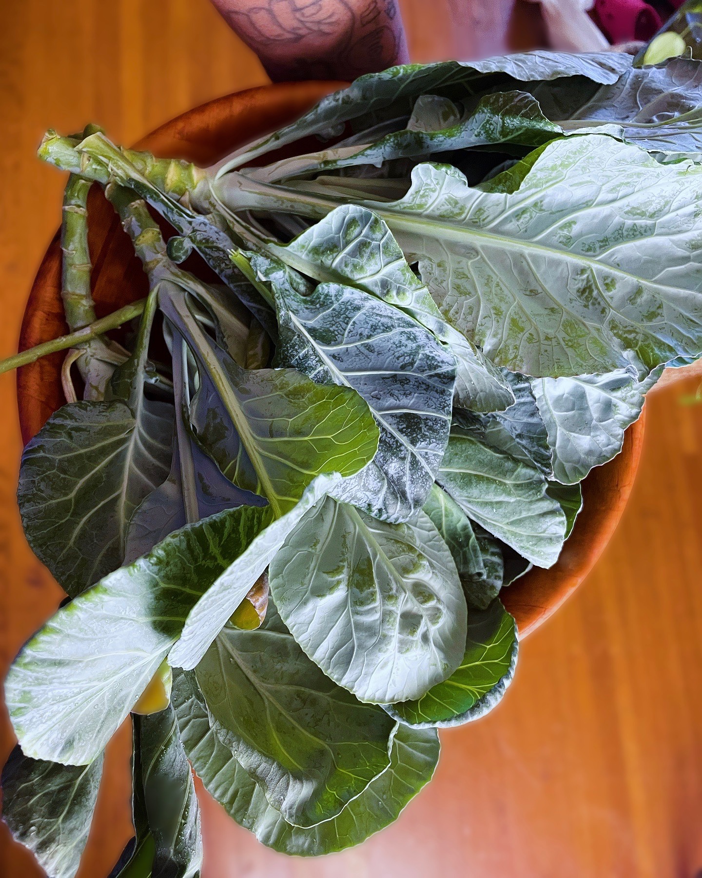 Frogs on the porch: Loc’s, Gardens, and Grandma Nem: An Autoethnographic Journey #3