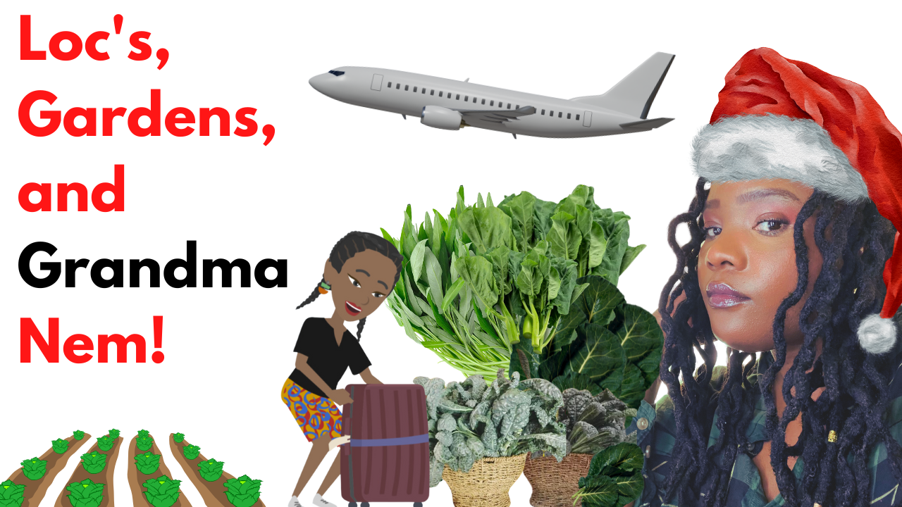 Loc’s, Gardens, and Grandma Nem: An Autoethnographic Journey #2